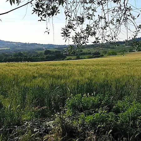 Al Coppo Panzió