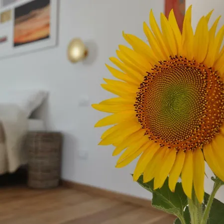 Al Coppo Frühstückspension Sirolo